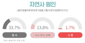 아파도 방치되는 유기동물‥인천시, 치료비 예산 신규 확보