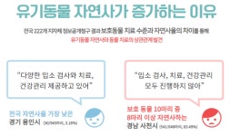 아파도 방치되는 유기동물‥인천시, 치료비 예산 신규 확보