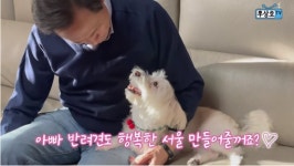 우상호 `공공동물병원 설립，반려동물 진료비 표준화 및 공시제` 공약