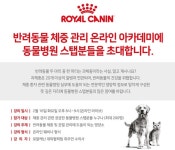 로얄캐닌, 동물병원 직원 대상 `반려동물 체중관리 온라인 아카데미` 연다