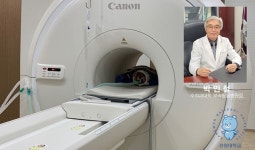강원대학교 수의과대학 부속동물병원，강원권 최초 MRI 장비 도입