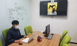 동물 원격진료 불씨 당길까…말 원격의료 나서는 마사회