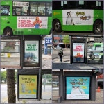 서울 서대문구 마을버스에는 길고양이가 있다