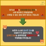 [카드뉴스] 개보다 동물병원에 잘 오지 않는 고양이들：프시케