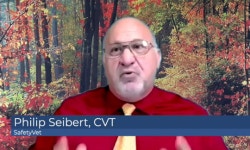 동물병원 직원이 임신했을 때 유념할 4가지 원칙은