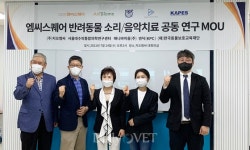 반려동물용 엠씨스퀘어 만든다
