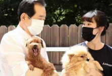 정세균 동물진료비 편차 크고 불투명 진료비 공시제 공약