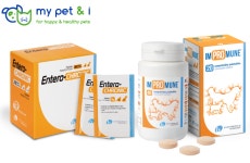 엘랑코, 유럽 프리미엄 펫케어 브랜드 `마이 펫 앤 아이` 첫 선