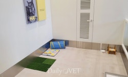 [전문진료 동물병원 인터뷰30] 하이 반려동물 행동 클리닉(HAI)