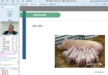 동물복지 축산으로 돼지 키우면서 좋아진 점과 나빠진 점은