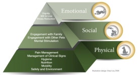생애말기 반려동물 보호자가 인식하는 `나쁜 죽음` `좋은 죽음`