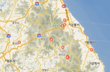 삼척서도 ASF 양성 멧돼지 첫 발견‥강원 남하 가속