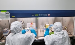 전라북도동물위생시험소, 아프리카돼지열병 정밀진단기관 지정