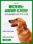 용인시디지털산업진흥원, 인투씨엔에스와 반려견 심장질환 모니터링 시스템 적용