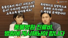 [위클리벳 273회] 동물병원 진료비, 이제 병원에 게시해야 합니다!