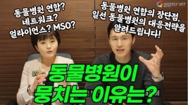 [위클리벳 275회] 연합? 얼라이언스? 동물병원이 뭉치는 이유!