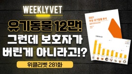 [위클리벳 281회] 유기동물 12만! 그런데 보호자가 버린게 아니라고!?