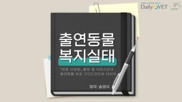 [카드뉴스] 드라마 낙마 촬영 사건과 출연동물 복지실태 : 프시케