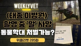 [위클리벳 285회] 드라마 촬영 중 사망한 ‘까미’와 동물촬영 가이드라인