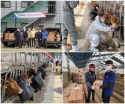 경북수의사회, 울진 산불 피해 동물 무상진료 지원 지속