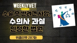 [위클리벳 287회] 수술 후 사망한 반려견, 수의사 설명 미흡 인정한 법원