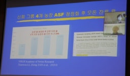 아프리카돼지열병, 조기 색출·부분살처분으로도 막을 수 있다？