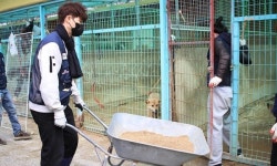 [포토뉴스] 국경없는 수의사회 봉사·의료봉사 차량 기증식