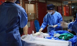 [포토뉴스] 국경없는 수의사회 봉사·의료봉사 차량 기증식