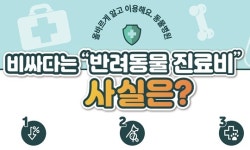 비싸다는 동물병원 진료비, 사실은 OECD 최하위권