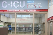 옥서스인터시스템, 고위험 환자 전용 입원실 시스템 C-ICU 개발