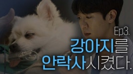 [아프다고 말해줘] Ep3. 강아지를 안락사시켰다