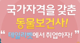 동물보건사, 데일리벳에서 동물병원 취업하자!