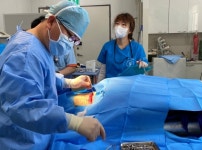 폐그물에 상처받은 두 마리의 붉은바다거북, 수술받고 방생 준비