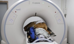 청주동물원 동물병원, 국내 동물원 최초 CT 도입‥진료 인프라 개선