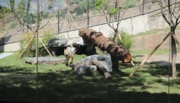 청주동물원 동물병원, 국내 동물원 최초 CT 도입‥진료 인프라 개선