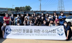 버동수, 경기도 화성에서 중성화수술 동물의료봉사