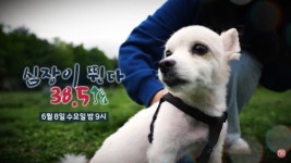 안과 전문 수의사 소개 심장이 뛴다 38.5 8일 밤 9시 방송