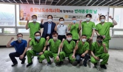 충남수의사회 동물의료봉사단, 보령서 길고양이·유기견 의료봉사활동
