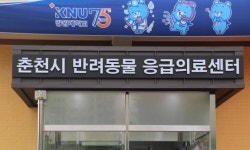 시 예산 지원받아 밤·공휴일에만 운영하는 반려동물 응급의료센터 생겼다