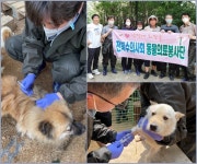 전북수의사회 동물의료봉사단, 무더위 뚫고 완주서 봉사 펼쳐