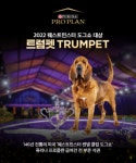 퓨리나 프로플랜, 미국 웨스터민스터 켄넬 클럽 도그쇼 석권