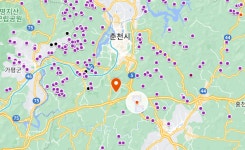 춘천 돼지농장서 아프리카돼지열병 추가 확진