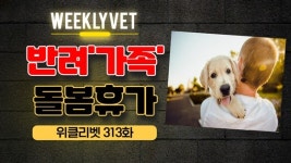 [위클리벳 313회] 반려동물 아프면 5일 휴가？ 반려동물돌봄휴가