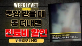[위클리벳 314회] 펫샵 연계 동물병원에서 진료비 할인?