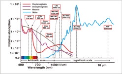 [오로와 함께하는 레이저의 이해와 전망①] 레이저의 이해