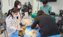 전북야생동물센터 어린이 여러분, 야생동물 수의사는 이런 일을 해요