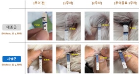 [신제품] 벡스퍼트 반려동물 전용 점안액 후코솔