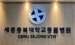 세종충북대학교동물병원, 동계방학 익스턴십 프로그램 운영