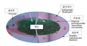 항생제, 살균제와 정균제는 어떻게 다른가
