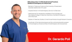 베터플릭스, 호주 응급동물병원 리얼 케이스 패키지 출시